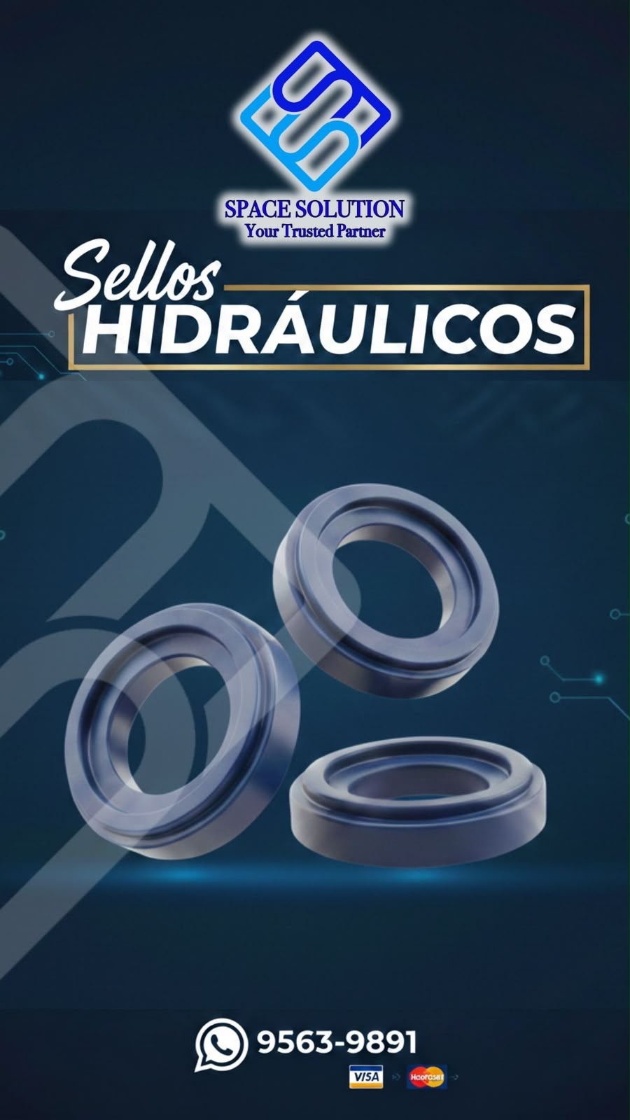 Sellos Hidráulicos